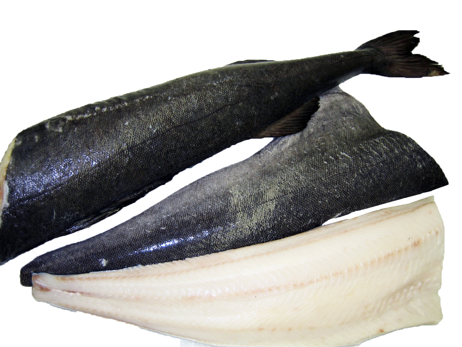 Black Cod Sablefish